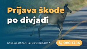 prijava škode po divjadi (2)