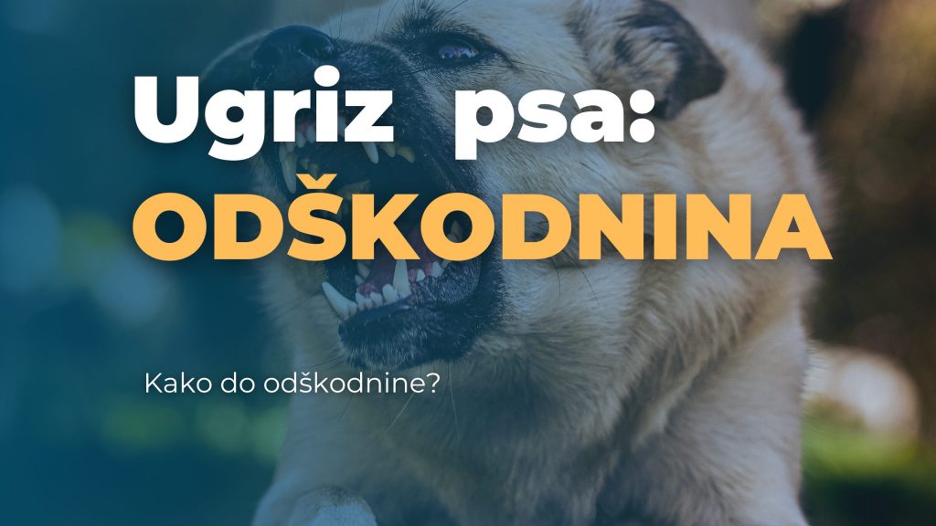 ugriz psa odškodnina poraVnava